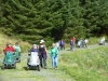 beddgelert-forest-049-800x600