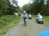 beddgelert-forest-053-800x600