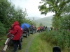 beddgelert-forest-058-800x600