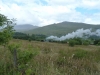beddgelert-forest-060-800x600