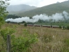 beddgelert-forest-062-800x600