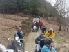 agm-birches-valley-devils-dumble-030-800x600