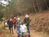 iain-brindley-valey-cannock-chase-011-800x533