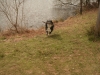iain-brindley-valley-cannock-chase-046-800x533