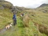 bwlch-cwm-llan-020-800x600