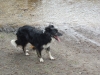 agm-birches-valley-devils-dumble-026-800x600