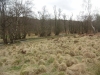 agm-birches-valley-devils-dumble-030-800x600
