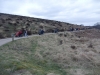 agm-birches-valley-devils-dumble-031-800x600