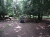 eyeworth-woods-new-forest-044