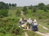 eyeworth-woods-new-forest-061