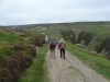 gunnerside-moor-016-800x600