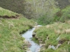 gunnerside-moor-022-800x600