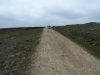 gunnerside-moor-041-800x600
