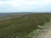 gunnerside-moor-046-800x600