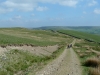 gunnerside-moor-119-800x600