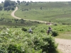 hampton-ridge-new-forest-john-006