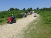 hampton-ridge-new-forest-john-008