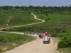 hampton-ridge-new-forest-john-018