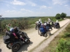 hampton-ridge-new-forest-john-038