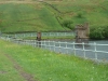 pendle-fringes-020-800x600