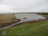pennington-marshes-025-800x600