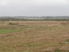 pennington-marshes-026-800x600