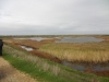 pennington-marshes-038-800x600