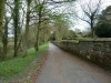 liz-shipley-country-park-007-800x600