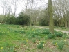 shipley-country-park-013-800x600