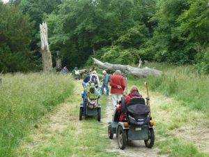 2013 Stanmer Park