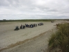 west-wittering-chichester-018