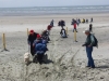 west-wittering-chichester-082