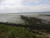 west-wittering-chichester-113