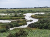 west-wittering-chichester-117