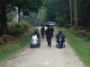 wilverley-wander-001-800x600