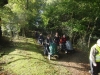 wilverley-wander-022-800x600