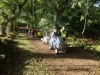 wilverley-wander-031-800x600