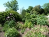 Croome Landscape Park 008 (640x480)
