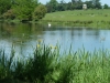 Croome Landscape Park 026 (640x480)