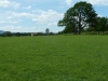 Croome Landscape Park 038 (640x480)