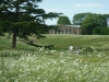 Croome Landscape Park 050 (640x480)
