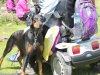 IMG_1133 (640x427)