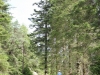 IMG_1194 (533x800)