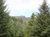 IMG_1195 (800x533)