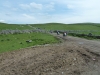 Malham Moor Eliz 038 (640x480)