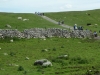 Malham Moor Eliz 040 (640x480)
