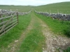 Malham Moor Eliz 049 (640x480)