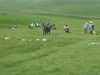 Malham Moor Eliz 077 (640x480)