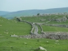Malham Moor Eliz 085 (640x480)