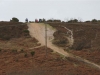 burley-1